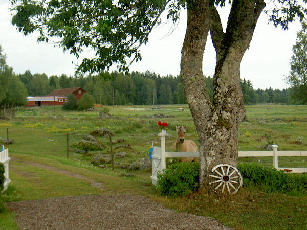 Pferd auf der Weide in Brunnvalla