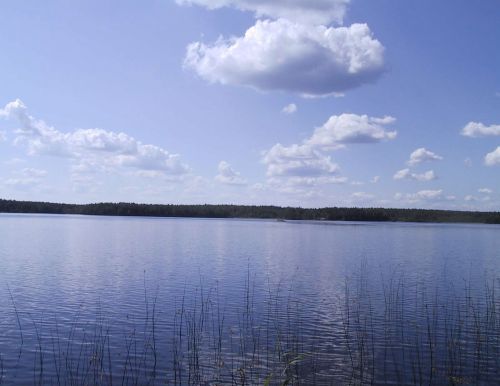 Roksjön (Raksee) ein Waldsee in Uppland 200 km n�rdlich von Stockholm