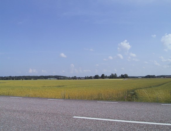 Schwedische Landschaft