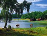 Klick Schwedische Sommerlandschaft am Mlarensee um vergrssert zu sehen