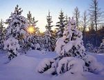 Winterlandschaft anklicken um vergrssert zu sehen