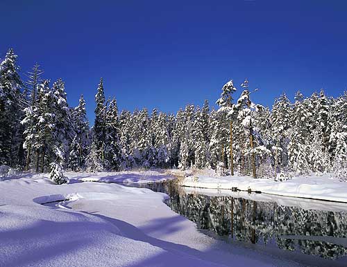 Winterlandschaft - Waldsee in Schweden