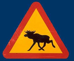 Achtung Elche Elchschild