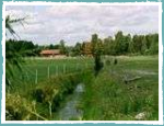 Bach in Brunnvalla