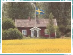 Sommerstuga (Schwedisches Sommerhaus) im August 