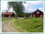 Brunnvalla  200 km nördlich von Stockholm im Juli